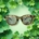 Miro' - Sunglasses - Mint